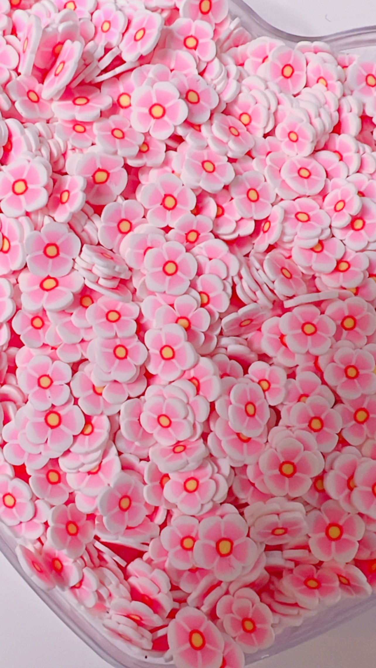 cherry blossom