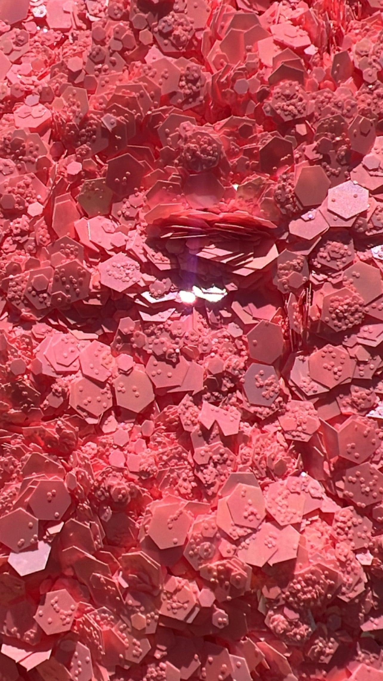Bubblegum